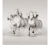 Carys Jones Canvas Wall Art, Multicolore, 60 x 60 x 3.2 cm