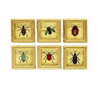 Casa Delle Bambole 6 Beetle Immagini Dipinti IN Quadrato Dorato Telaio Miniatura