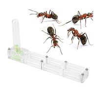 Casa di allevamento per formiche in acrilico, nido formicario con torre d’acqua e di umidificazione, habitat compatto per insetti, ideale per l’osservazione didattica e per (nido trasparente)