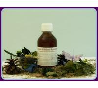 Casa Di Salute Raphael GOCCE MELISSA E BRYOPHYLLUM 100 ML