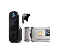 Casa Giardino Esterno Cancello Porta Tuya Smart Lock WiFi Codice digitale RFID Card Doppio lato Blocco impronte digitali