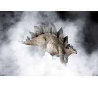 Casa Muro Stampa Poster - Paleontologia - Dinosauro Stegosauro -A4 , A3,A2,A1,A0