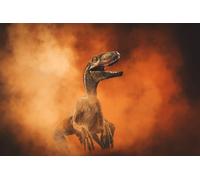 Casa Muro Stampa Poster - Paleontologia Dinosauro Velociraptor- A4,A3,A2,A1
