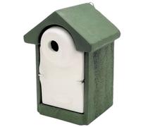 Casa Per Uccelli In Legno Calcestruzzo 28 Mm Verde