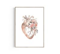 Casa Poster Decorativo Poster di Stampa Dell'anatomia del Cuore Decorazione Dell'ufficio del Medico Arte del Cuore Anatomico Pittura Floreale su Tela(20x30cm)