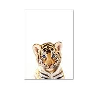 Casa Poster Decorativo Poster E Stampe Nordici Elefante Zebra Giraffa Panda Koala Animali Arte Murale Tela Dipinti Immagini Murali Decorazioni per La Cameretta dei Bambini(L,30x40cm)