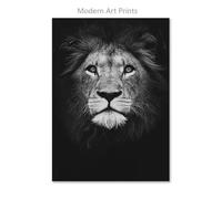 Casa Poster Decorativo Stampa su Tela di Animali in Bianco E Nero, Poster E Stampe di Leoni, Immagini Artistiche da Parete per Soggiorno, Camera da Letto E Decorazione(B,30x40cm)