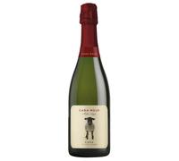 Casa Rojo Moltó Negre Cava DO Brut Nature 2024 0,75 ℓ