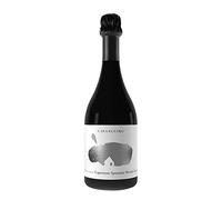 Casa Setaro Pietrafumante Spumante di Caprettone Magnum, Spumante Metodo Classico, Spumante Brut, 12,5% vol, 1,5L Magnum