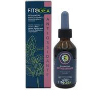 CASA WELLNESS Snc FITOGEA ANTIOSSIDANTE 100 ML
