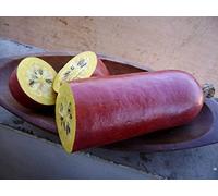 CASABANANA sicana odorifera 10 SEMI bisogno di calore per maturare GRANDE MELONE come il gusto