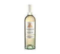 CASALBORDINO CHARDONNAY IGT TERRE SABELLI 75 CL