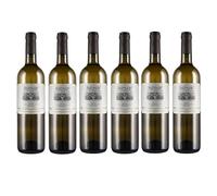 Casale del Giglio | Antinoo | Bianco Lazio IGT/IGP | 6 Bottiglie