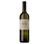 Chardonnay Lazio IGT 2023 - Casale del Giglio 0.75 lt