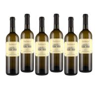 Casale Del Giglio Satrico 2025 Lazio Igt 75 cl 6 Bottiglie