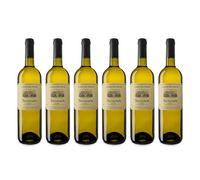 Casale del Giglio | Sauvignon | Lazio Bianco IGT/IGP | 6 Bottiglie