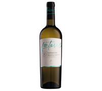 Casalfarneto Fontevecchia Verdicchio dei Castelli di Jesi Classico Superiore DOC 2023 0,75 ℓ