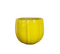 Casamata - Vaso In Ceramica Smaltata Santorini Rotondo Disponibile In Diverse Misure E Colori, Perfetto Come Vaso In Ceramica Per Piante Elegante E Resistente (Giallo, 21x19 cm)