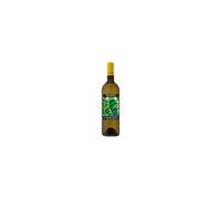 Casamatta Toscana Bianco IGT 2023 Bibi Graetz