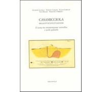 Casamicciola 1883. Il sisma tra interpretazione scientifica e scelte polit...