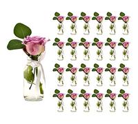 casavetro 24 x piccoli vasi di vetro bottiglie di vetro C decorazione collo d' aria incluso fiocco rustico vintage vaso trasparente Mini bottiglie di latte decorative, bianco, 24 Stück weiss