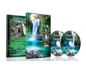 Cascate DVD - Cascate Tropicali - Ruscelli d'acqua e cascate Paesaggi in suoni naturali per un ambiente rilassante e realistico nella giungla