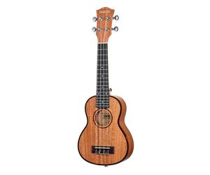 Cascha Premium Mahagoni Sopran