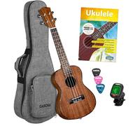 Cascha Premium Mahog. Concert Bundle