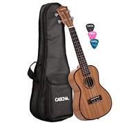 Cascha Set ukulele da concerto in mogano, piccola chitarra Hawaii per principianti con borsa, 3 grimaldelli e corde del marchio Aquila