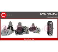 CASCO AGR-Valvola Elettrica Per BMW X3 XDRIVE20D SDRIVE18D XDRIVEM40D 3ER