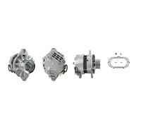 CASCO Alternatore CAL35678GS 50A generatore con puleggia cinghia Poly-V