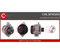CASCO Alternatore Generatore 120A 12V Per Opel Zafira B 1.9 CDTi CAL30163AS