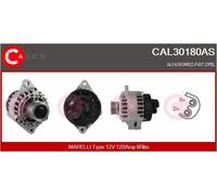 CASCO Alternatore Generatore 120A 12V Per Opel Zafira B 1.9 CDTi CAL30180AS