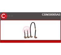 CASCO CBM30005AS Spazzola in carbone, Motorino d'avviamento