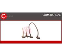 CASCO CBM30013AS Spazzola in carbone, Motorino d'avviamento