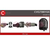 CASCO CVG73001GS Valvola Egr Vag
