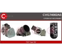 CASCO CVG74002AS Valvola Egr Fiat