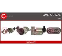 CASCO CVG77017AS Valvola Egr Gm