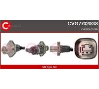 CASCO CVG77020GS Valvola Egr Gm