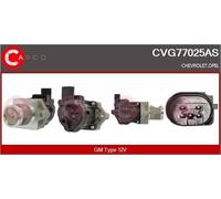 CASCO CVG77025AS Valvola EGR