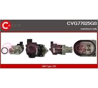 CASCO CVG77025GS Valvola Egr Gm