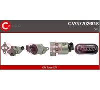 CASCO CVG77026GS Valvola Egr Gm