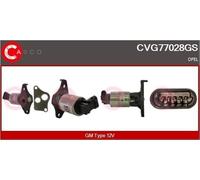 CASCO CVG77028GS Valvola Egr Gm