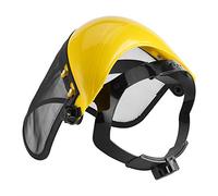 Casco di Sicurezza con Visiera Integrale in Rete