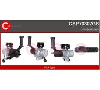 CASCO Pompa Del Servosterzo Elektrisch-Hydraulisch per Peugeot 307 3A / C Sw 3H