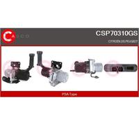 CASCO Servopumpe Elektrisch-Hydraulisch per Citroën C4 Picasso II DS5 CSP70310GS