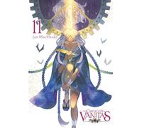 Case Study of Vanitas 11