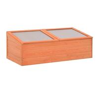 Casetta per piante in legno con piastra in policarbonato e coperchio a cerniera, 100 x 50 x 34 cm, per piante, verdure, erbe e fiori, facile da montare, protezione dal freddo e dal gelo in primavera