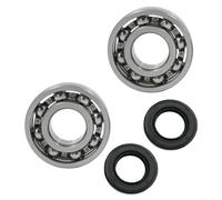 CashMuch Per soffiatore a lamelle cuscinetti albero motore e kit paraolio per BR350 BR430 BR450, parti resistenti all'usura per migliorare l'efficienza e le prestazioni del motore