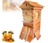 Cashwise Kit di Avvio per Arnia, Arnia Automatica con Finestra di Ispezione e Rubinetto per Il Miele, 4 Telaini e 6 Vassoi a Favetto - Ideale per Giardini, Impollinatori e Piccola Apicoltura